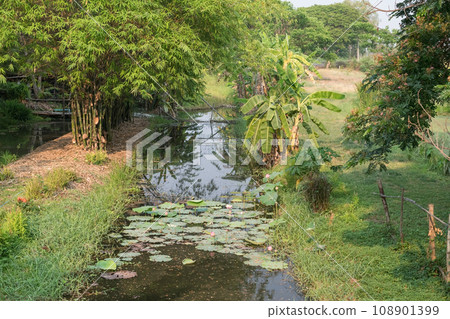 Top view local farm along canal at Suphanburi, Thailand 108901399