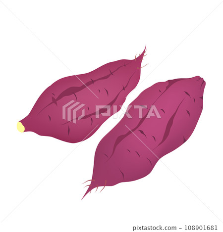 sweet potato 108901681