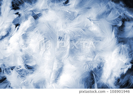 Blue feather pattern background texture Blue feather pattern background texture 108901946