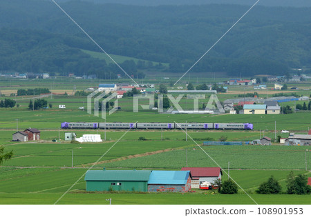 富良野薰衣草特快運行在富良野盆地 Kiha 261 系列薰衣草編隊 富良野薰衣草特快運行在富良野盆地 Kiha 261 系列薰衣草編隊 108901953