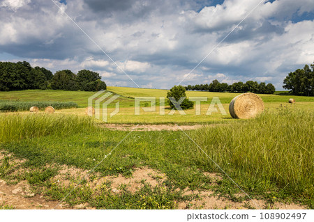 Summer field with bales on meadow and clouds on sky Summer field with bales on meadow and clouds on sky 108902497