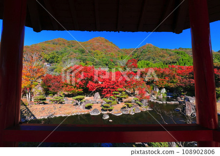 [大分縣] 晴天的京石園紅葉（矢馬溪水壩紀念公園） 108902806