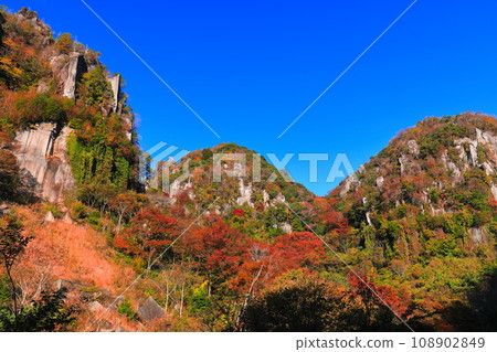 【大分縣】深秋紅葉的矢馬溪(一目了然八景) 【大分縣】深秋紅葉的矢馬溪(一目了然八景) 108902849