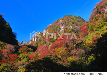 [Oita Prefecture] Deep Yabakei with autumn leaves (Eight views at a glance) 108902860