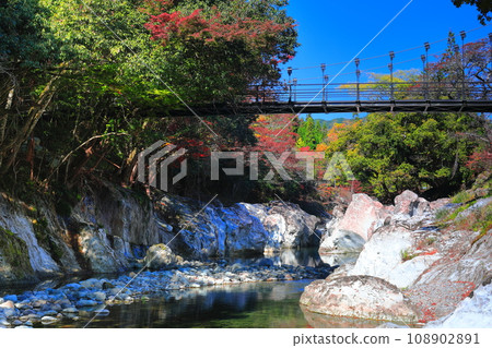 [Oita Prefecture] Autumn leaves at Sarutobi Sentsubo Gorge on a clear day (Okuyabakei) 108902891