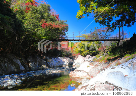 [Oita Prefecture] Autumn leaves at Sarutobi Sentsubo Gorge on a clear day (Okuyabakei) 108902893