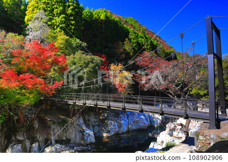 [Oita Prefecture] Autumn leaves at Sarutobi Sentsubo Gorge on a clear day (Okuyabakei) 108902906