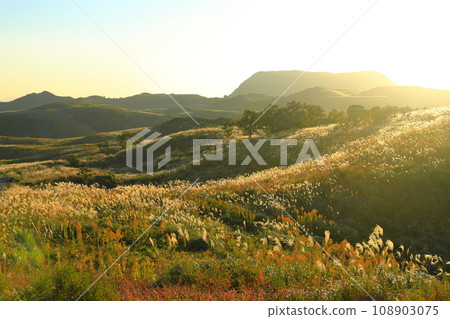 【福岡縣】秋天的平尾台（日本三大喀斯特地形） 108903075