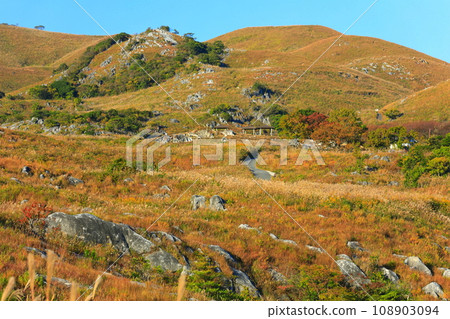 【福岡縣】秋天的平尾台（日本三大喀斯特地形） 108903094