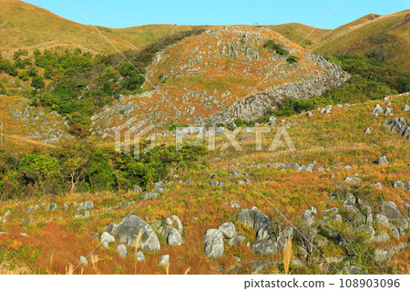 [Fukuoka Prefecture] Hiraodai in autumn (Japan's three major karsts) 108903096
