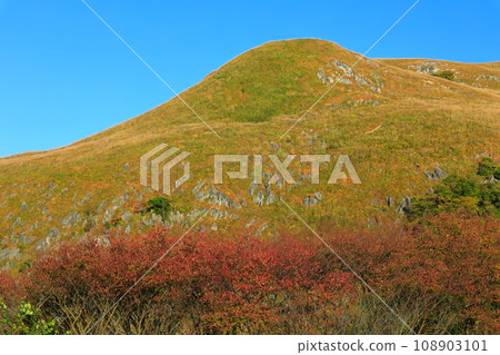 [Fukuoka Prefecture] Hiraodai in autumn (Japan's three major karsts) 108903101