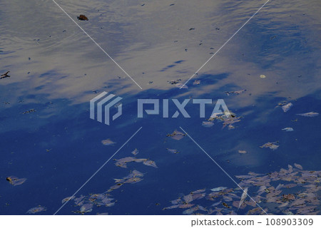 Late autumn blue water surface reflecting clouds 108903309