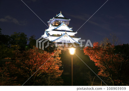 [Osaka Prefecture] Night view of Osaka Castle Main Tower 108903939