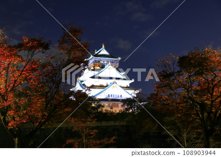 [大阪府]大阪城天守閣的夜景 108903944