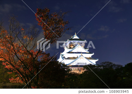 [大阪府]大阪城天守閣的夜景 108903945
