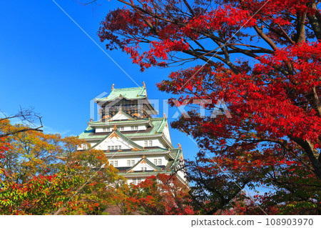 [Osaka Prefecture] Osaka Castle and autumn leaves on a clear day 108903970