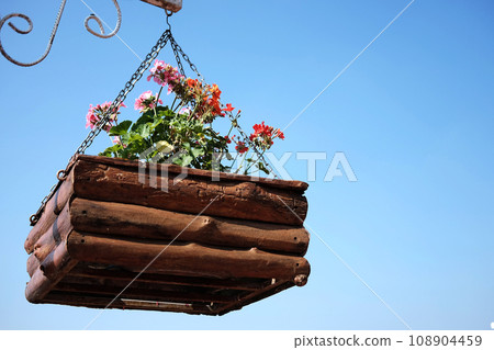 Blooming white and violet  flowers in wooden pot hanging with iron pole in natural light garden and blue sky 108904459