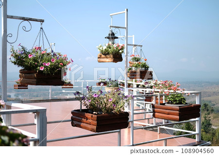 Blooming white and violet flowers in wooden pot hanging with iron pole in natural light garden and blue sky Blooming white and violet flowers in wooden pot hanging with iron pole in natural light garden and blue sky 108904560