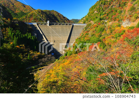 [Hyogo Prefecture] Hase Dam and autumn leaves on a clear day 108904743