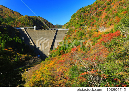[Hyogo Prefecture] Hase Dam and autumn leaves on a clear day 108904745