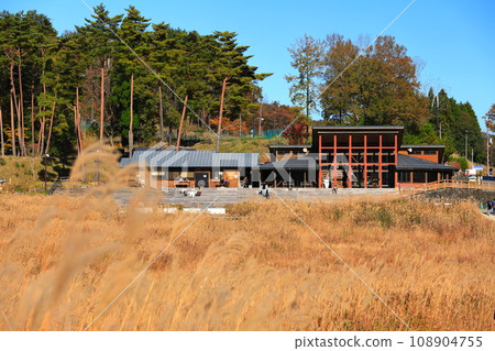 [Hyogo Prefecture] Tomine Nature Exchange Center and Japanese pampas grass 108904755