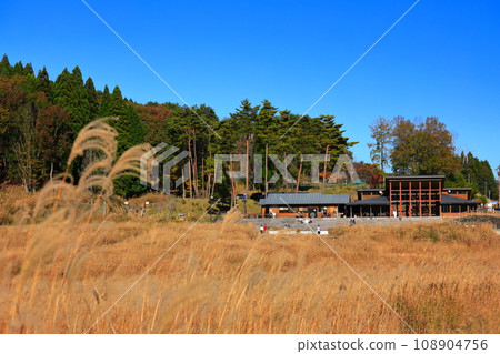 [Hyogo Prefecture] Tomine Nature Exchange Center and Japanese pampas grass 108904756