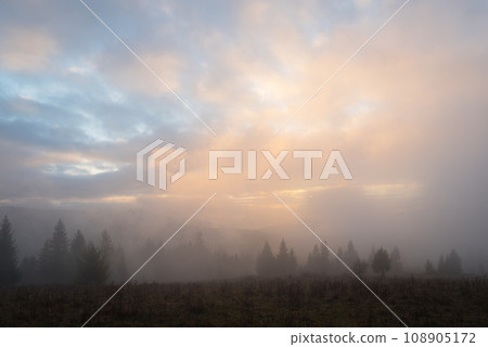 Autumn Landscape with fog in mountains 108905172