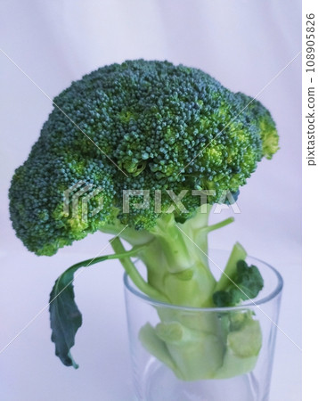西蘭花 西蘭花 108905826