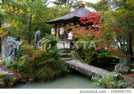 Autumn rain scenery at Tsukubusuma Shrine across Hojoike Pond 108906730
