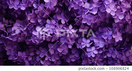Beautiful spring floral background of purple lilac 108906824