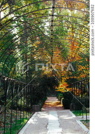 A black metal arch in a garden. A tunnel, path, walkway goes far into a depths of a park. Green and yellow fall vegetation on a fall day. Trees with yellow foliage. Lonely path dawn in a perspective. A black metal arch in a garden. A tunnel, path, walkway goes far into a depths of a park. Green and yellow fall vegetation on a fall day. Trees with yellow foliage. Lonely path dawn in a perspective. 108907682
