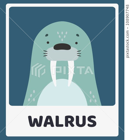 Cute walrus. Animal portraits. Educational cards for children. Simple vector illustrations. Cute walrus. Animal portraits. Educational cards for children. Simple vector illustrations. 108907748