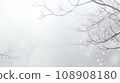 In the winter scene, tree branches cloaked in snow create a serene tableau set against a gently blurred white backdrop. 108908180