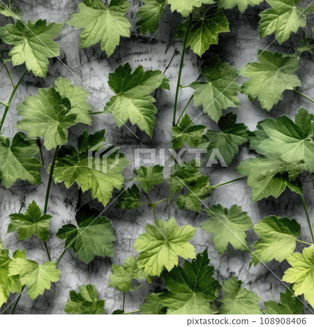 Young Green Leaves of Black Currant Bush on the Gray Earth Background, Green Leaves Seamless Pattern Young Green Leaves of Black Currant Bush on the Gray Earth Background, Green Leaves Seamless Pattern 108908406