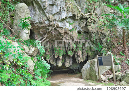 [Senbutsu Stalactite Cave] Hiraodai, Kokuraminami-ku, Kitakyushu City, Fukuoka Prefecture 108908697