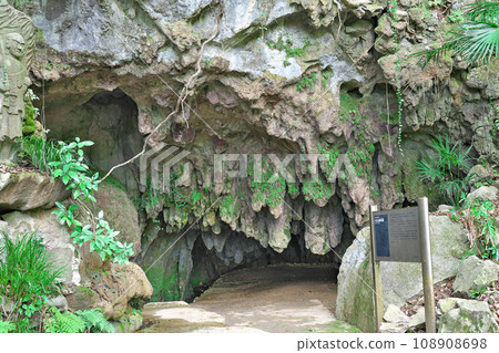 [Senbutsu Stalactite Cave] Hiraodai, Kokuraminami-ku, Kitakyushu City, Fukuoka Prefecture 108908698