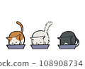 Cats eating together 108908734