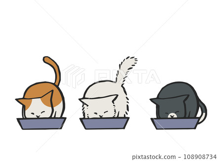 貓咪一起吃飯 108908734