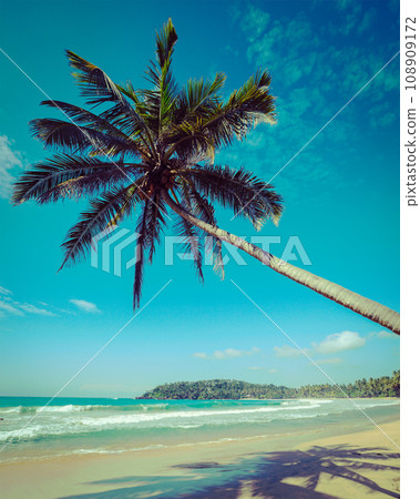 Vintage retro hipster style travel image of tropical paradise idyllic beach with palm. Sri Lanka Vintage retro hipster style travel image of tropical paradise idyllic beach with palm. Sri Lanka 108909172