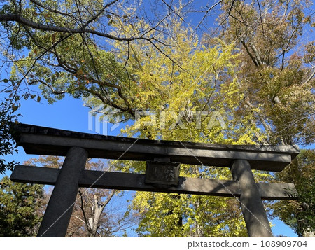 Torii of Kototosu Shrine, Joso City, Ibaraki Prefecture 108909704