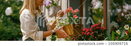 Close up of florist wearing apron taking care of houseplant in flower shop. Plant care concept 108909716