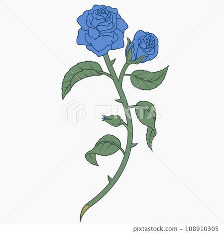 bouquet of roses with leaves and petals bouquet of roses with leaves and petals 108910305
