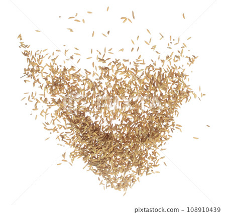 Paddy Rice grain fly in mid air. Yellow Golden Paddy Rice falling scatter, explosion float in shape form line group. White background isolated freeze motion high speed shutter Paddy Rice grain fly in mid air. Yellow Golden Paddy Rice falling scatter, explosion float in shape form line group. White background isolated freeze motion high speed shutter 108910439