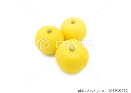 Yuzu with white background 108910482
