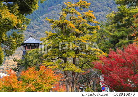 [兵庫縣]新紅樓和紅葉（出石城下町） 108910879