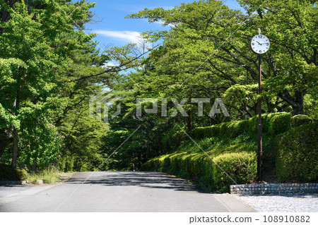 Refreshing fresh greenery and a large round clock 108910882