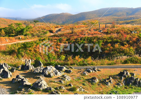 [Yamaguchi Prefecture] Akiyoshidai in autumn (karst terrain) 108910977