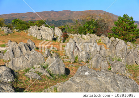 [Yamaguchi Prefecture] Akiyoshidai in autumn (karst terrain) 108910983