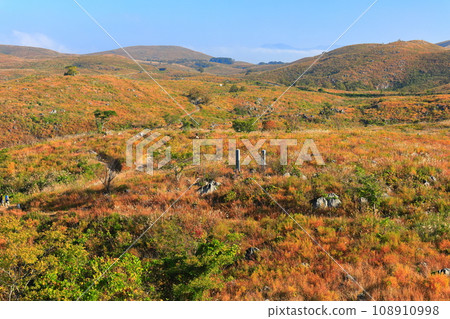 [Yamaguchi Prefecture] Akiyoshidai in autumn (karst terrain) 108910998