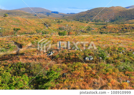 [Yamaguchi Prefecture] Akiyoshidai in autumn (karst terrain) 108910999
